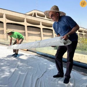 9 | هوادهی فرش های موزه فرش تهران زیر آفتاب داغ فرش های موزه تهران 8 | هوادهی فرش های موزه فرش تهران زیر آفتاب داغ