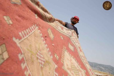 4 | پهن کردن فرش های دستباف در زمین‌ کشاورزی