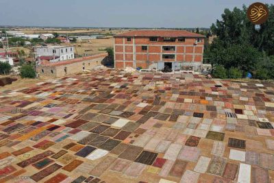 5 | پهن کردن فرش های دستباف در زمین‌ کشاورزی