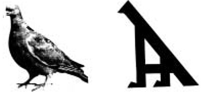 های شرق مازندراان | نشانه های تصویری در گلیم و گلیمچه های شرق مازندران