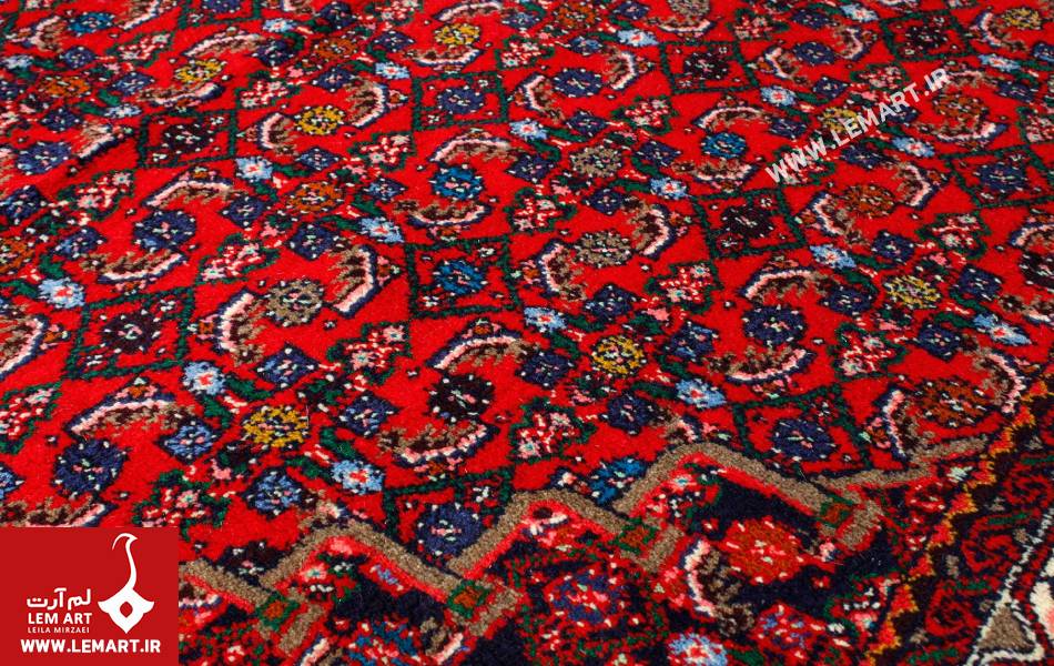 های آبزیان در قای همدان | نقشمایه های آبزیان در حوزه فرش همدان