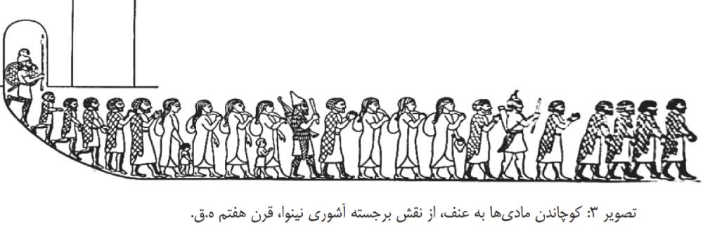 3 | نقشمایه های آبزیان در حوزه فرش همدان مادی ها | نقشمایه های آبزیان در حوزه فرش همدان