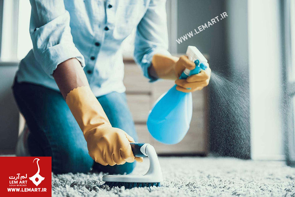 مو از روی موکت | جمع کردن مو از روی موکت و فرش