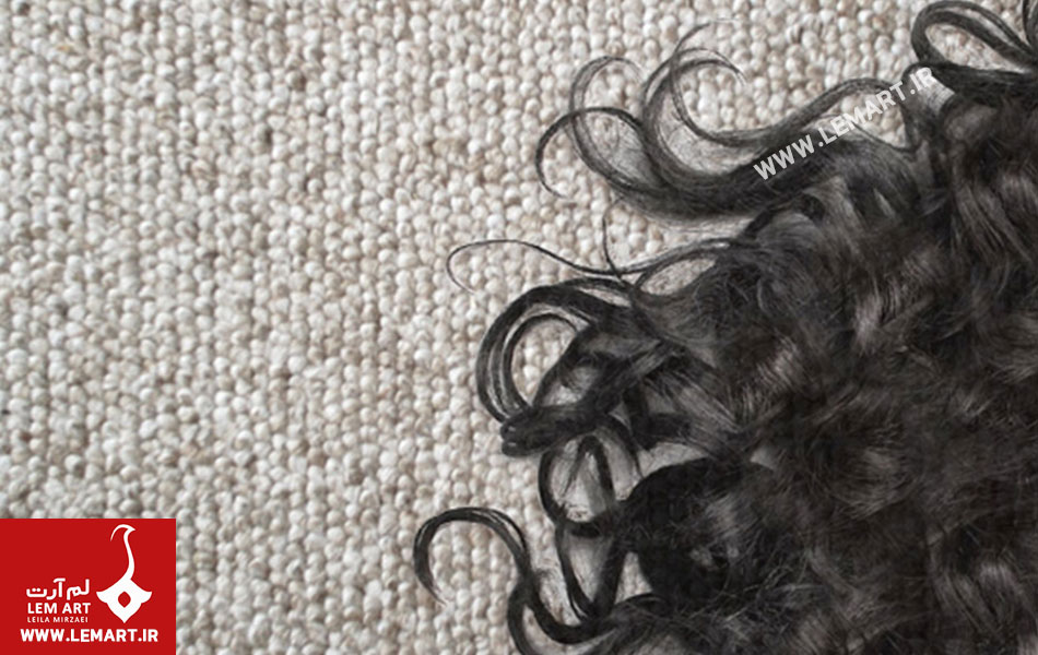 جمع کردن مو از روی فرش