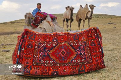resized 2016348 431 | زیباترین دست‌بافت عشایر ایل قره داغ
