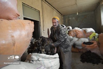 resized 2023112 716 | گزارش تصویری از یک هنر اصیل ایرانی؛ نمد مالی